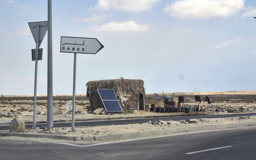 Las placas solares en el desierto son una gran alternativa
